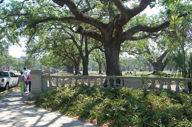 New Orleans 04-08-06 111.JPG - Audubon Park